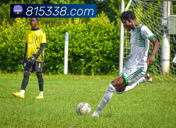 yabo体育APP 封面图